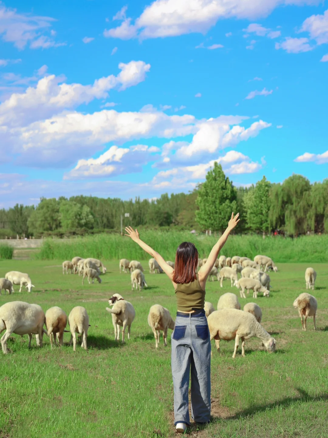 不是新西兰‼️京郊免费露营大草坪➕天空之镜