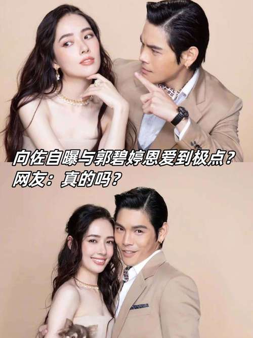 看着向佐郭碧婷一家幸福的样子，真觉得向佐他的眼光真好啊，找老婆就应该找这样