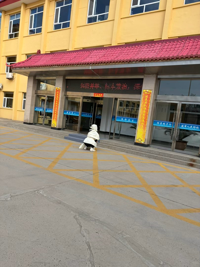 实名求助｜山西盂县路家村煤矿安全事故数月无处理结果，家属恳请公正督办

本人系山西阳泉盂县路家村煤矿生产安全事故遇难者家属，在此客观、如实陈述事故经过与维权现状，全程对所述内容承担法律责任，只求公道、只求依法处理。

数月前，我的父亲在山西盂县路家村煤业施工作业期间，遭遇严重生产安全 ​