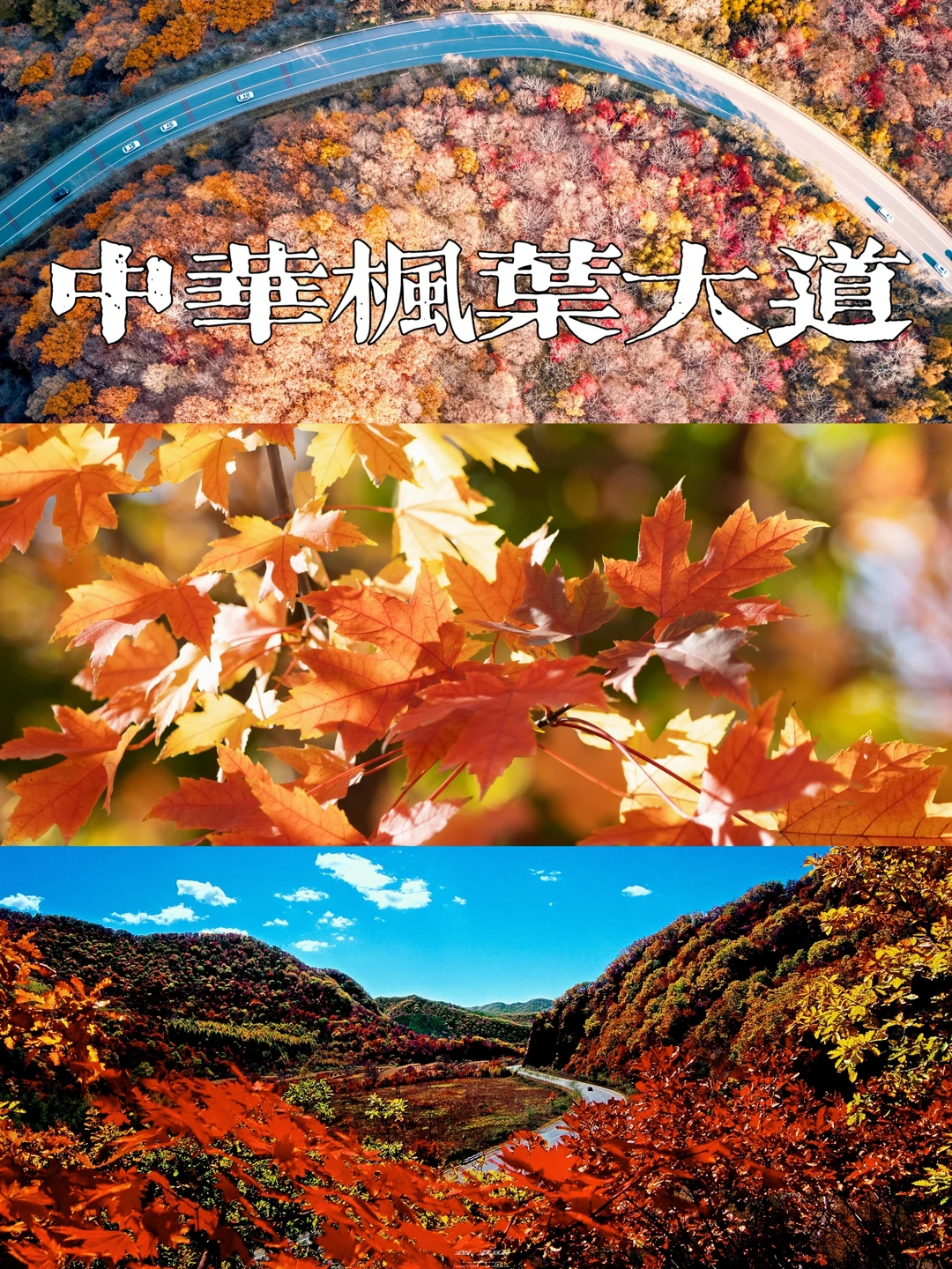 🍂中华枫叶之路美景 | 秋天的浪漫之旅