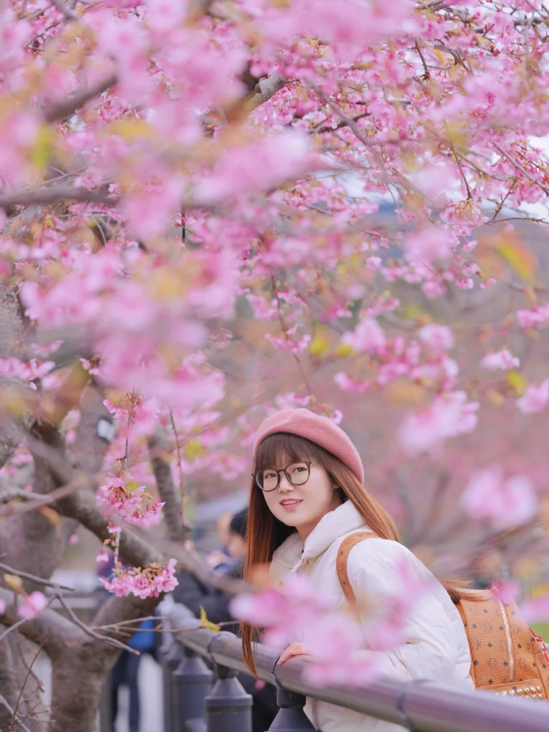 春节慢乐 | 日本早樱已🈵开，错过再等一年