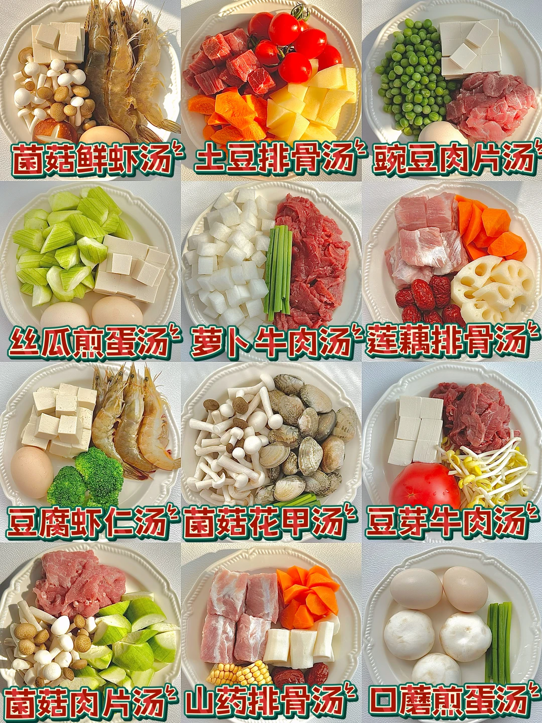 12款营养美味炖汤不重样做法‼️鲜掉眉毛了