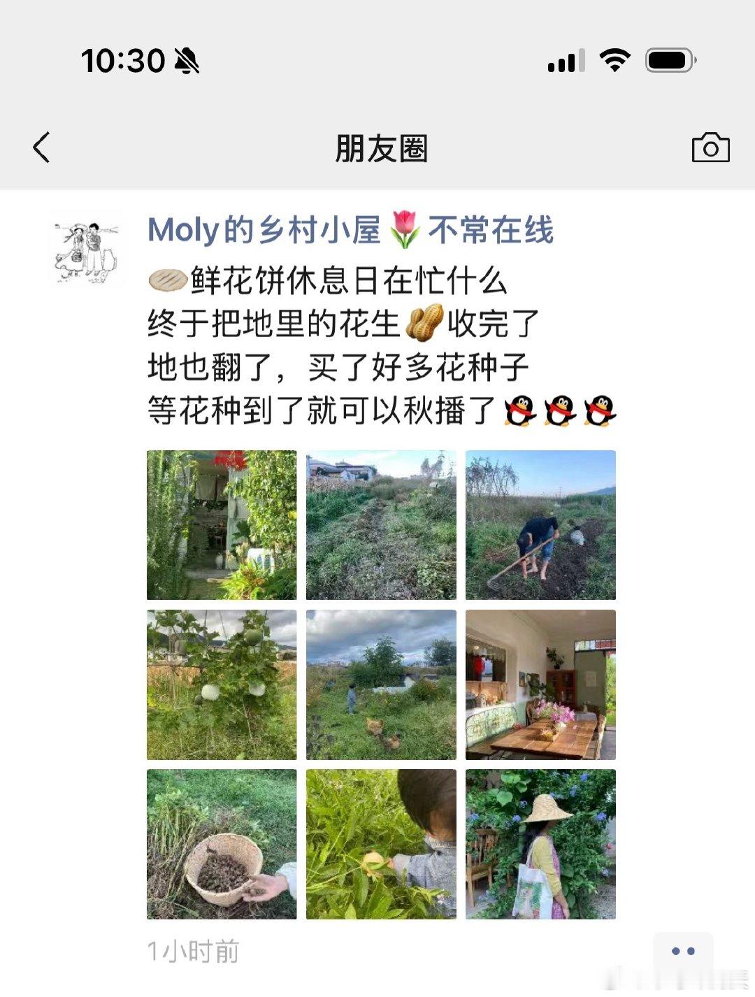 好羡慕moly

上着上着班突然就不干了拉着年轻的老公去云南开启农耕生活，在漂亮的小村庄里面开手作鲜花饼的小店，店里面处处都是审美力极高的小东西，桌子上永远有应季的好看的花花

抛不开世俗的人在工位上
codex在思考，我不想改报告了想去收花生 ​