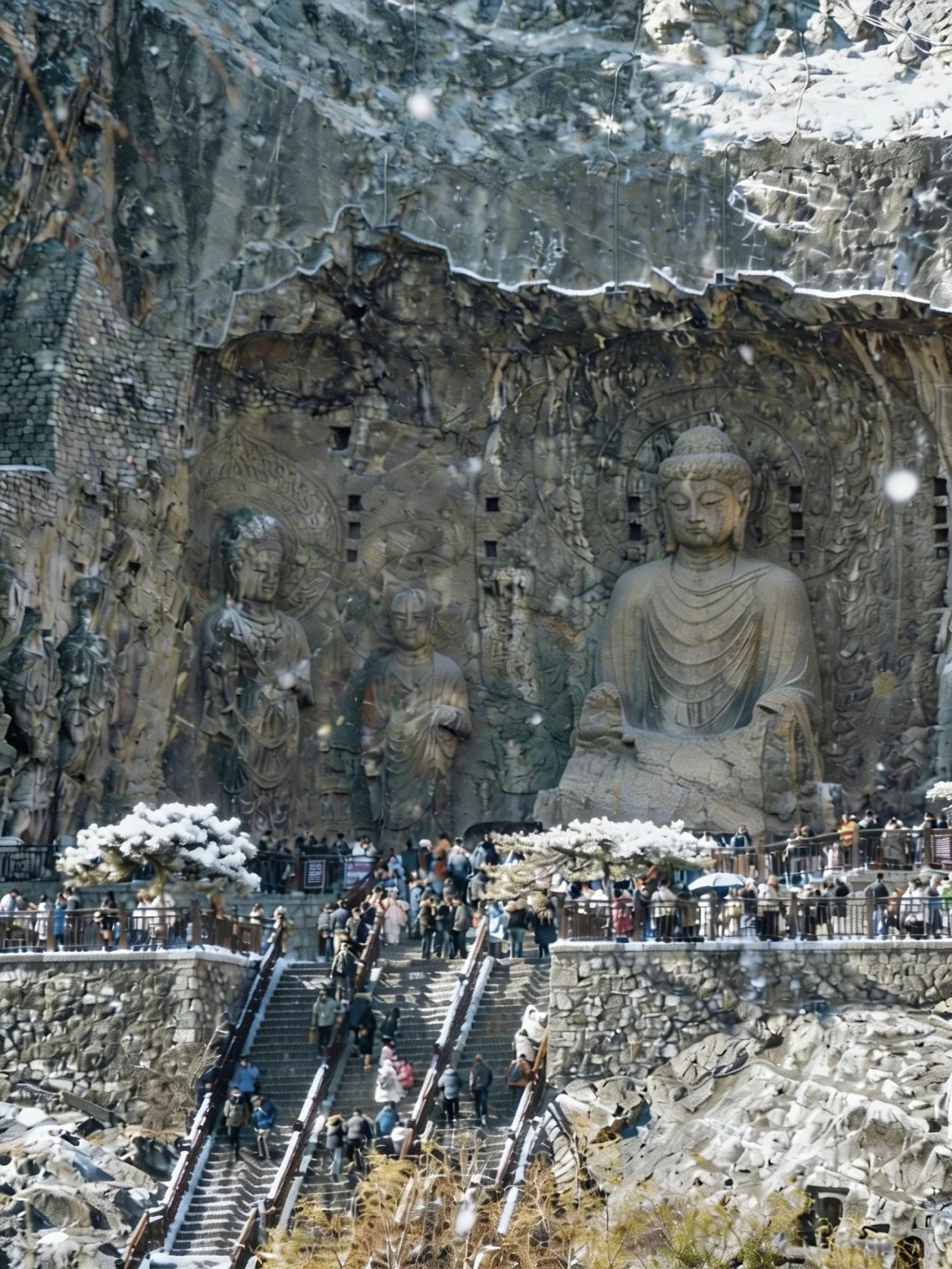 人生建议：一定要带爸妈来一次神都洛阳