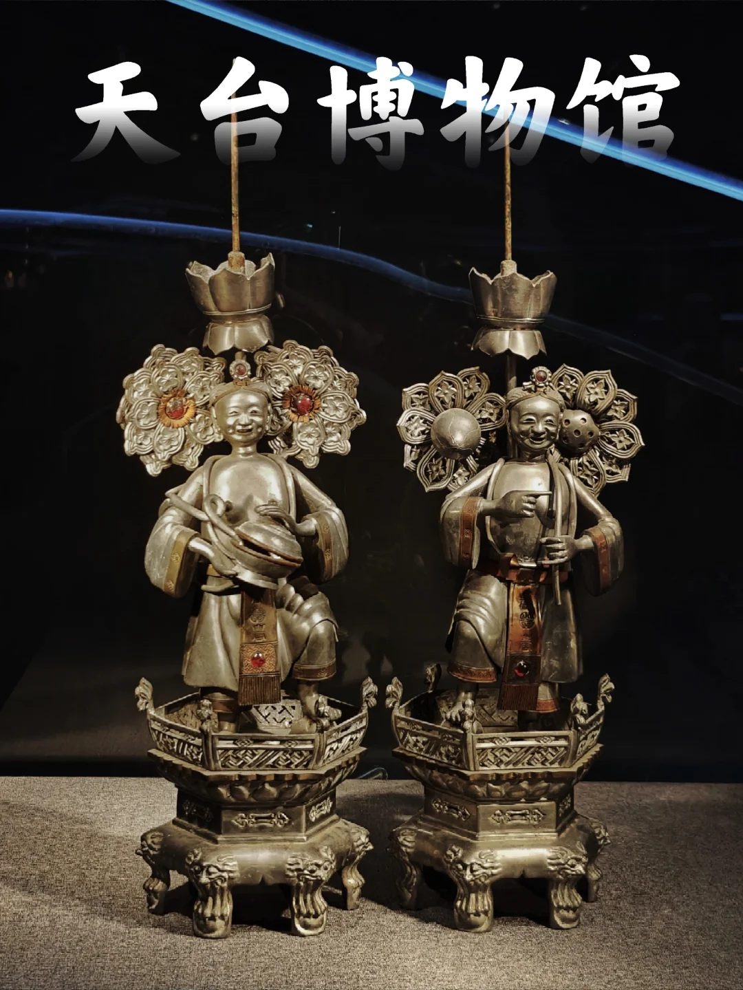 小众博物馆打卡｜天台博物馆居然有🦖新种