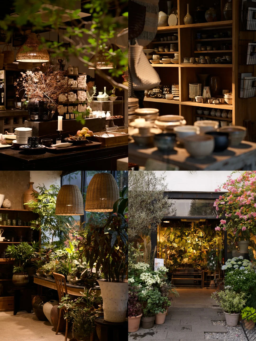 11月创业复盘｜我们的植物店营业额突破85万