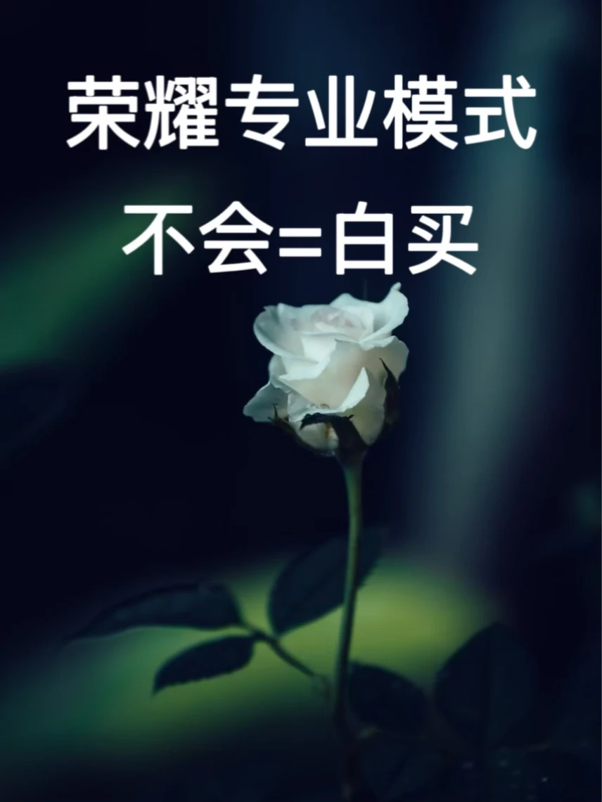 荣耀手机拍照秘籍！专业模式拍照技巧｜漂亮🤩