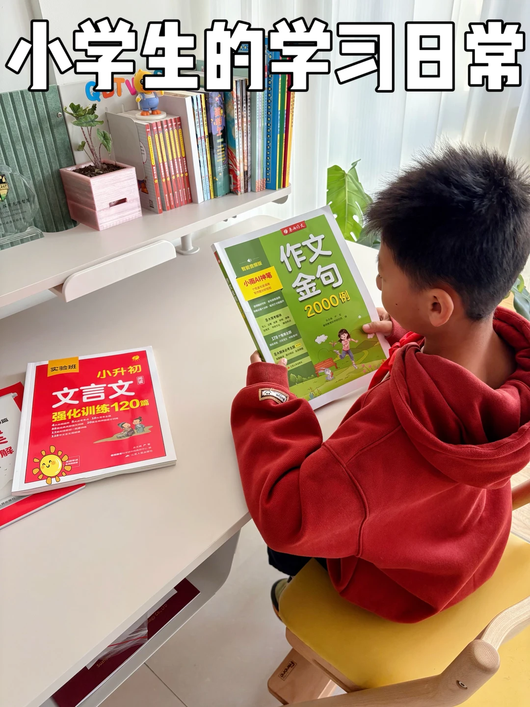 小学生的日常学习就用这个