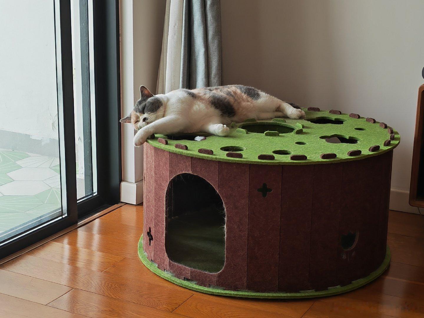 舒适的猫咪#生活手记# 
     这猫咪生活太舒服了，真令人羡慕，上午还在说下一世要投胎做孩子的猫。

    #小伙毕业刚入职就弄丢10台苹果手机#刚就职就犯下这么大的错，要是失了工作，可就再难就业。 ​