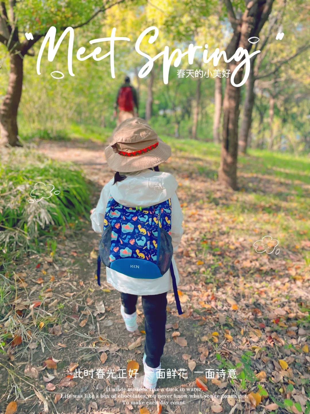 徒步随手拍｜不出上海✅莫干山同款秘境小树林