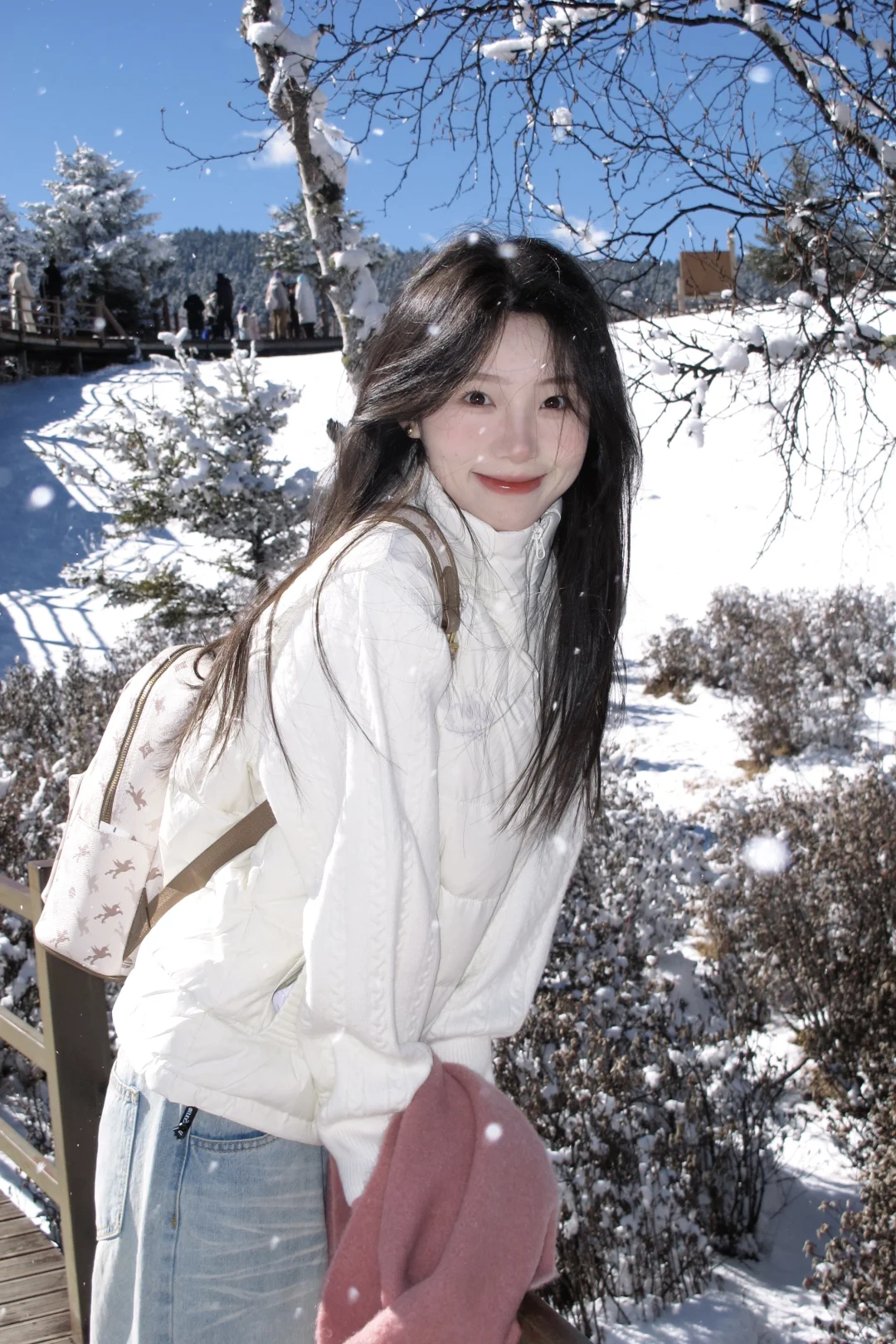 雪景真的巨出片啊啊