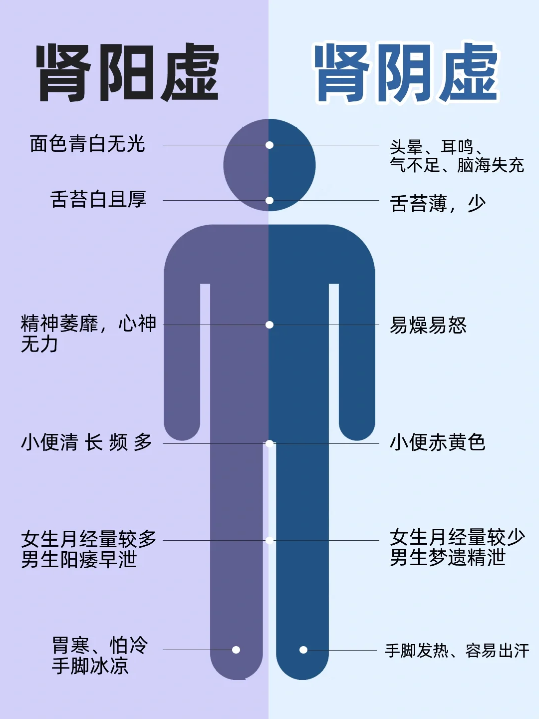 补肾不分男女❗️❗️护肾干货请查收✅