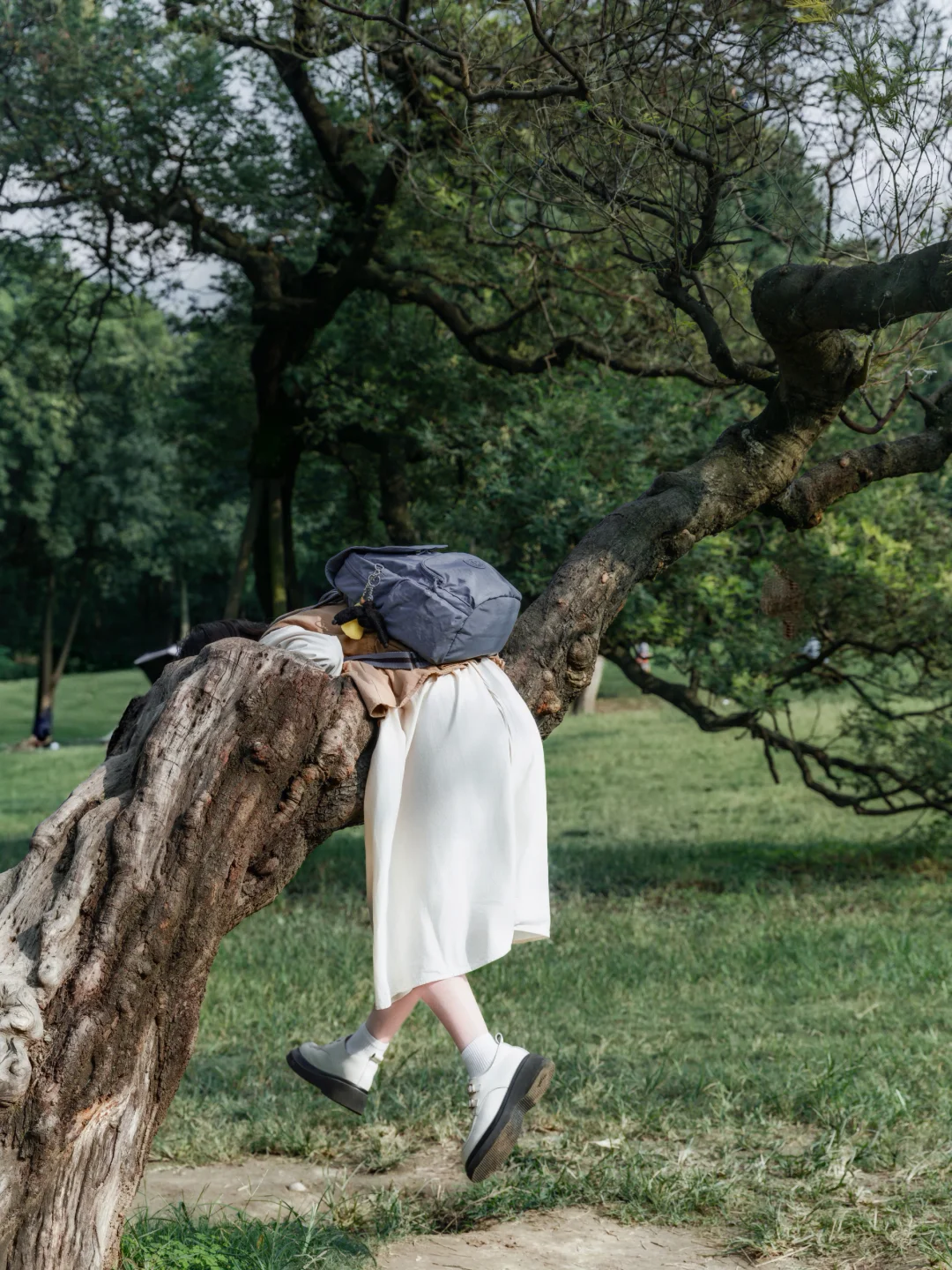 我去公园捡个秋天！！被难住了！怎么办！