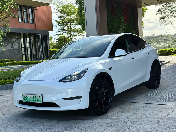 Tesla特斯拉 Model Y｜长续航660km  2022年0