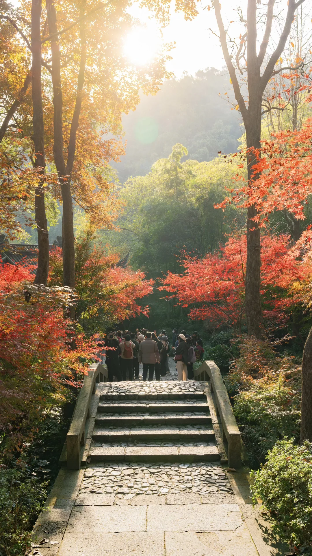 全屏封神挑战｜这才是秋天来杭州该看的景色