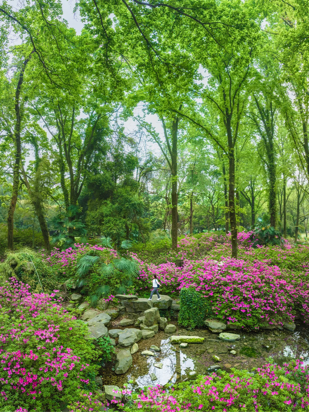 东湖！！你还有多少惊喜是我不知道的……