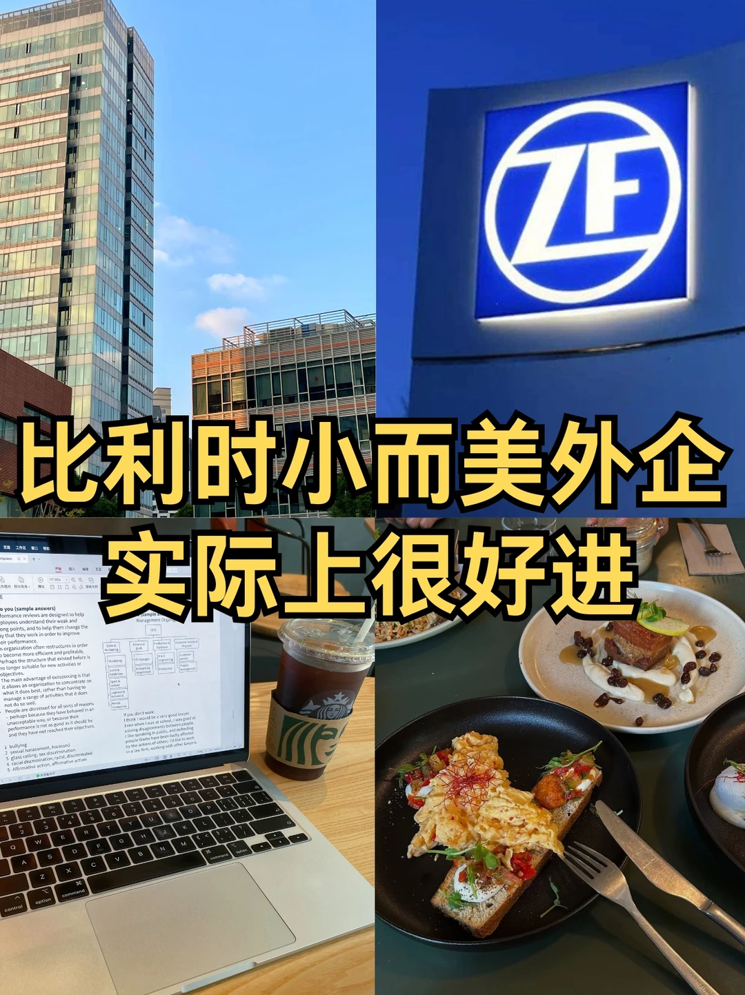 比利时外企过于冷门了，实际上很好进