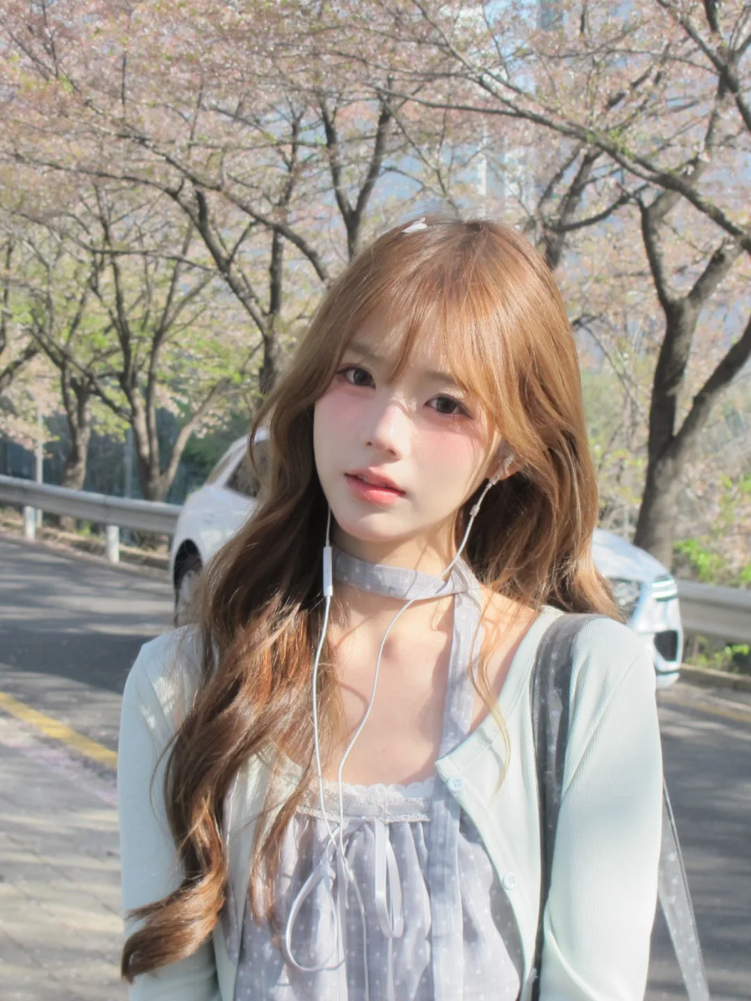 벚꽃 시즌이다 🌸