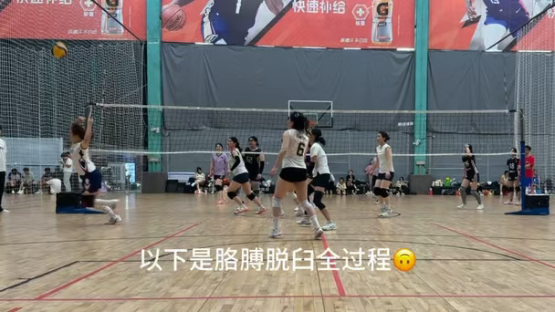 🏐倒霉熊不可以打排球