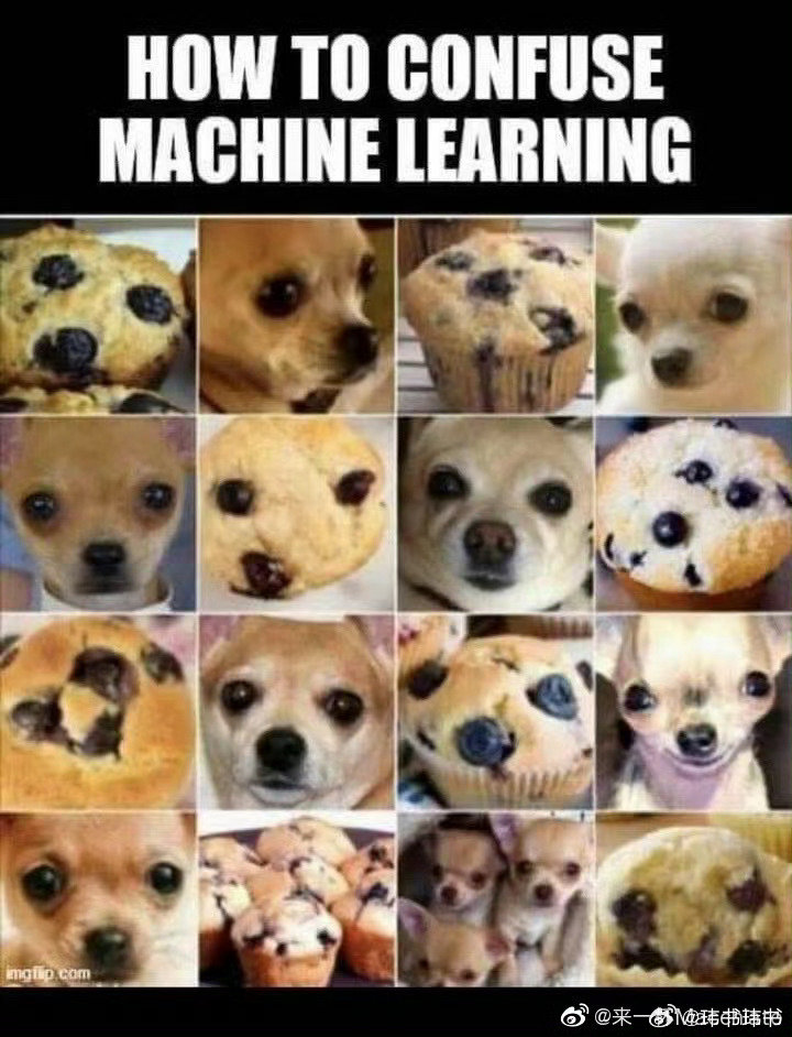 这梗来自于李飞飞的imagenet？ ​