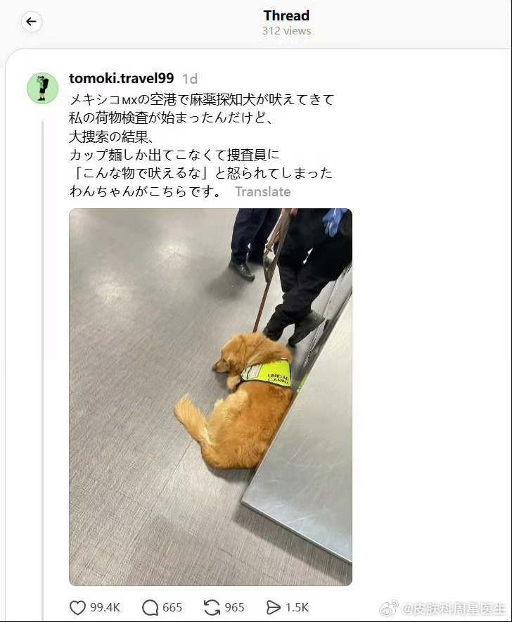 墨西哥机场有趣一幕🐶，日本旅客过境被金毛缉毒犬盯上，当场拦下开箱检查。
工作人员翻遍全部行李，最后只找出一包泡面，并没有查到违禁毒品。

工作人员当场对着狗狗吐槽：别对着这种东西乱叫。
照片里小狗耷拉脑袋，一副挨训之后垂头丧气的模样，看着委屈又好笑。

缉毒犬嗅觉极其灵敏，泡面里香料 ​