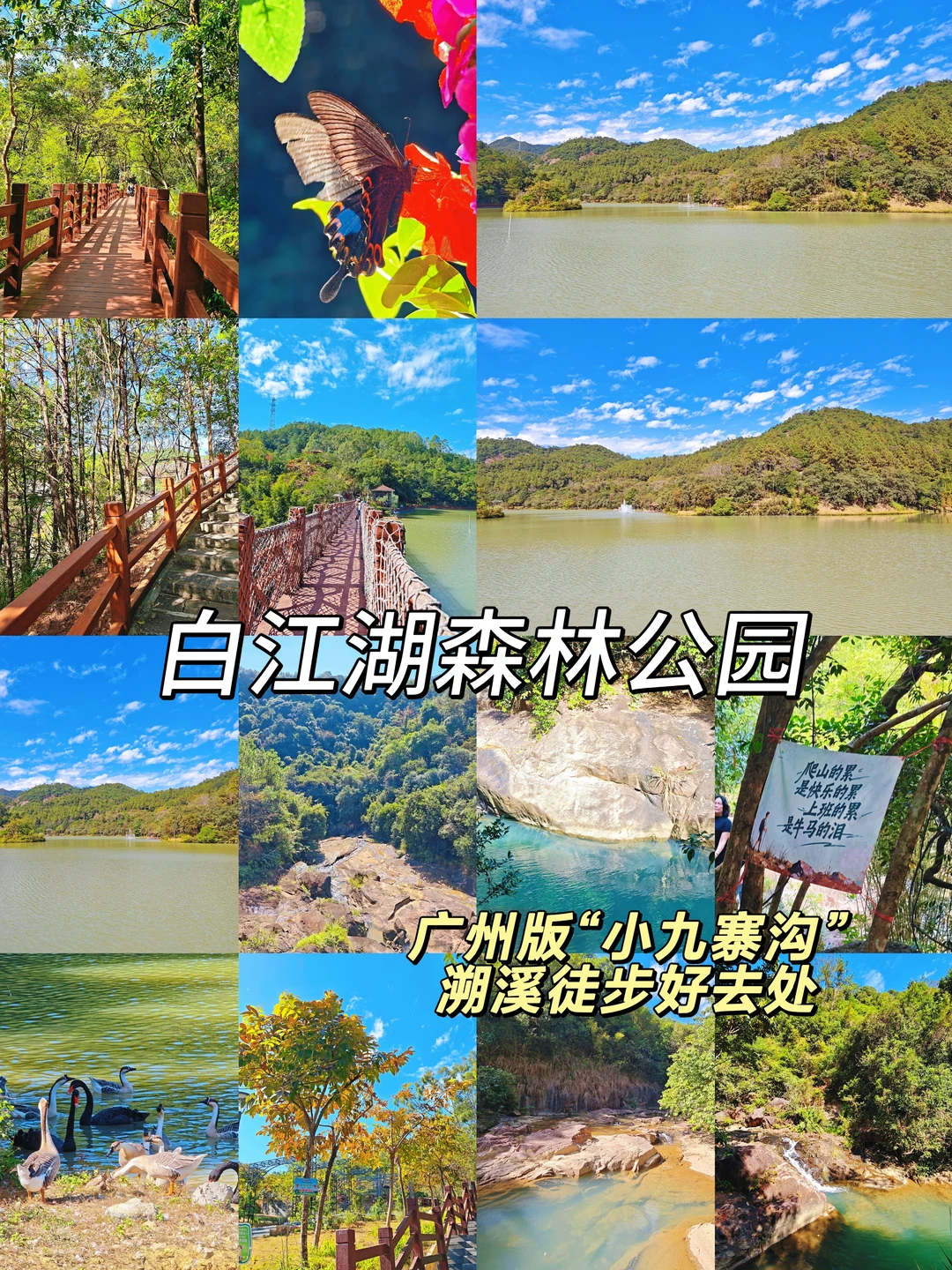 广州版“小九寨”！白江湖溯溪吸氧徒步路线