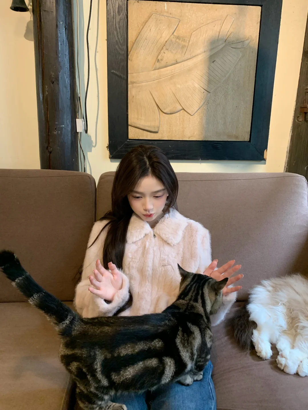 今日份撸🐱～