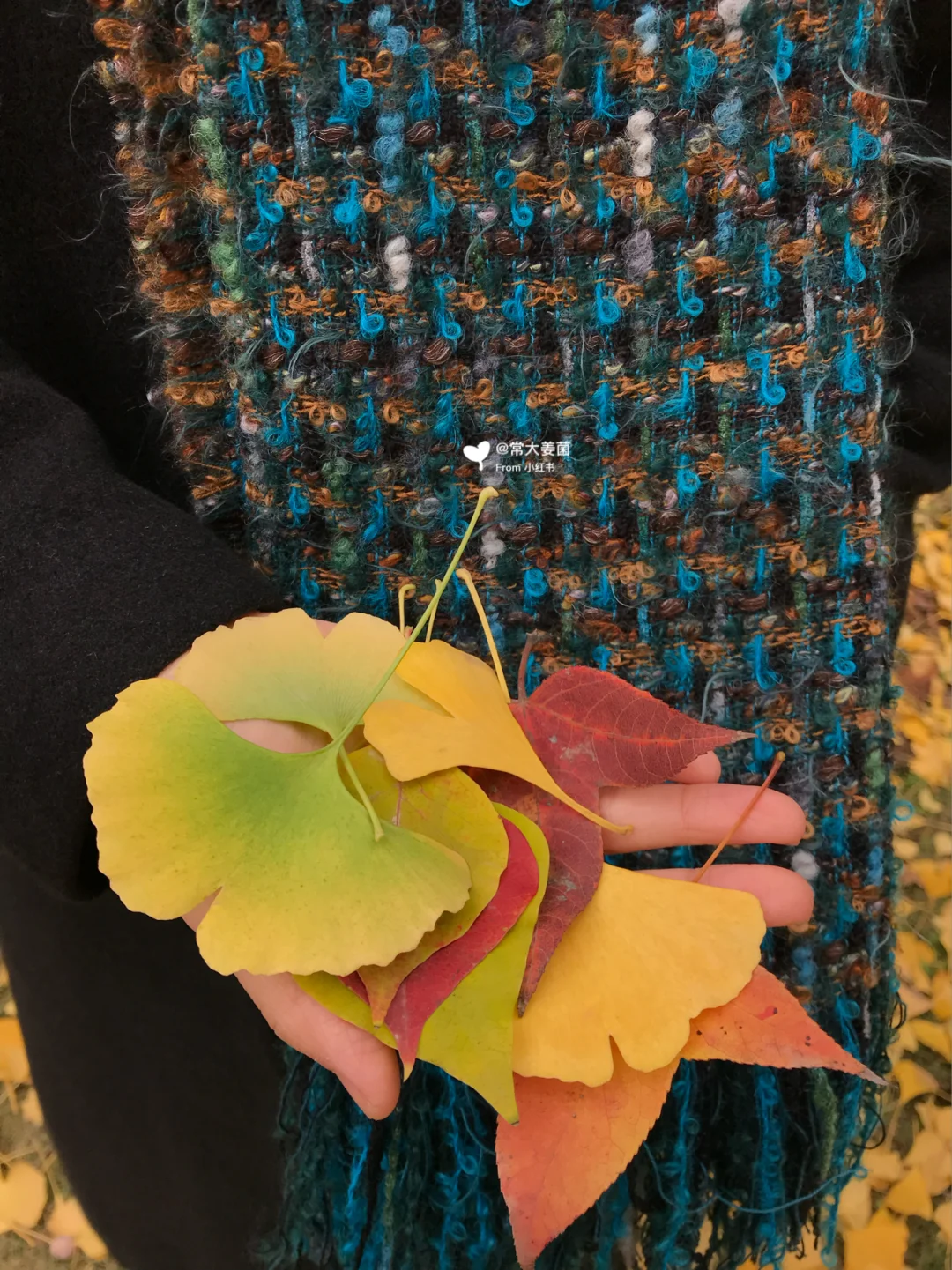 🍁美到冒泡的一所仙境大学👣杭州线上游👒