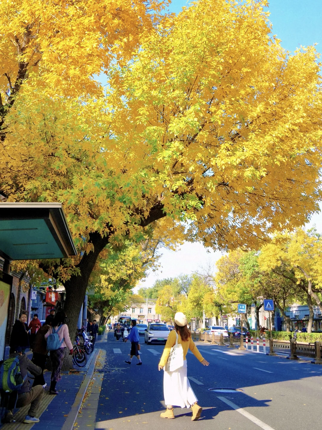 10.19实况🍂北京最新赏秋citywalk路线‼️