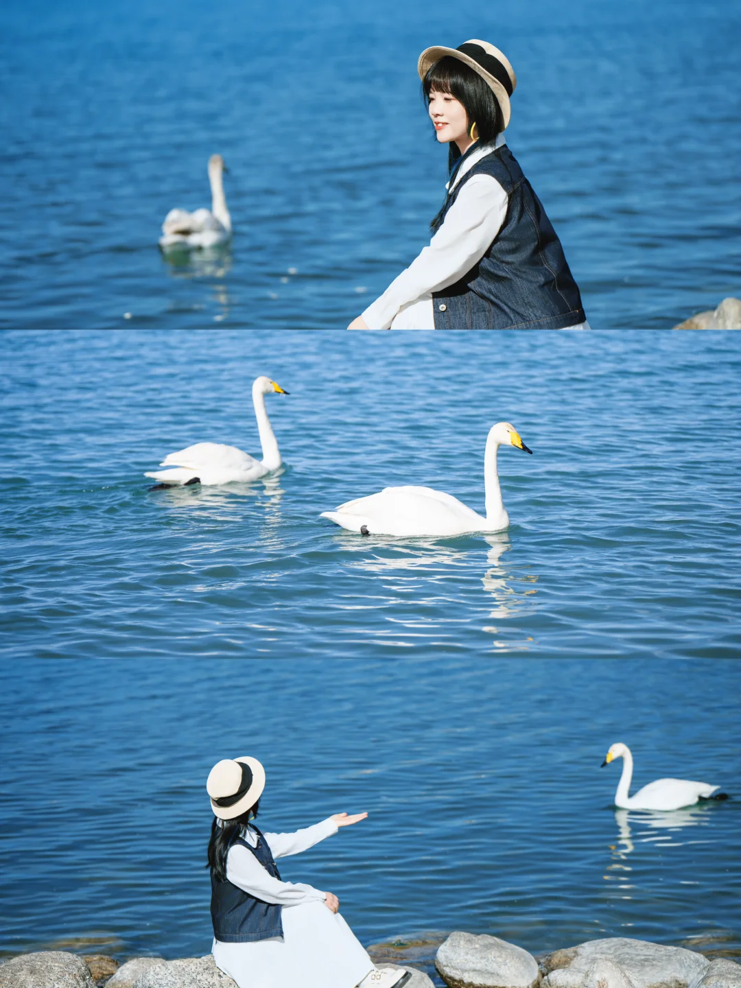 此生必去！赛里木湖拍📸天鹅🦢全攻略