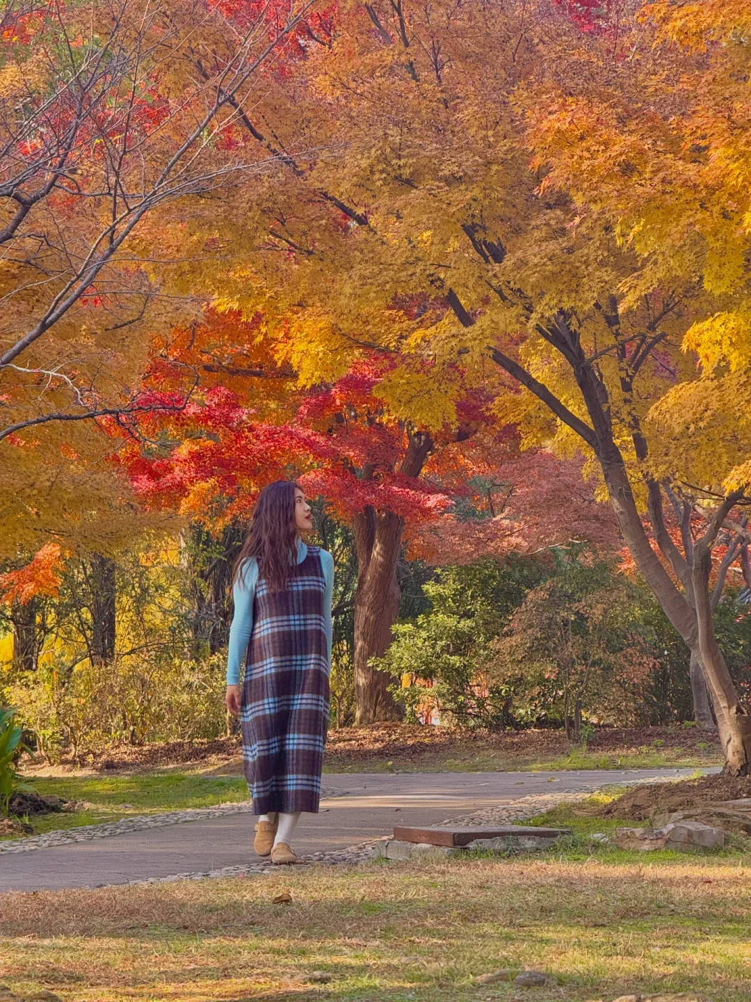 11.29武汉实拍！！啊啊啊这里的枫叶美哭了！🍁
