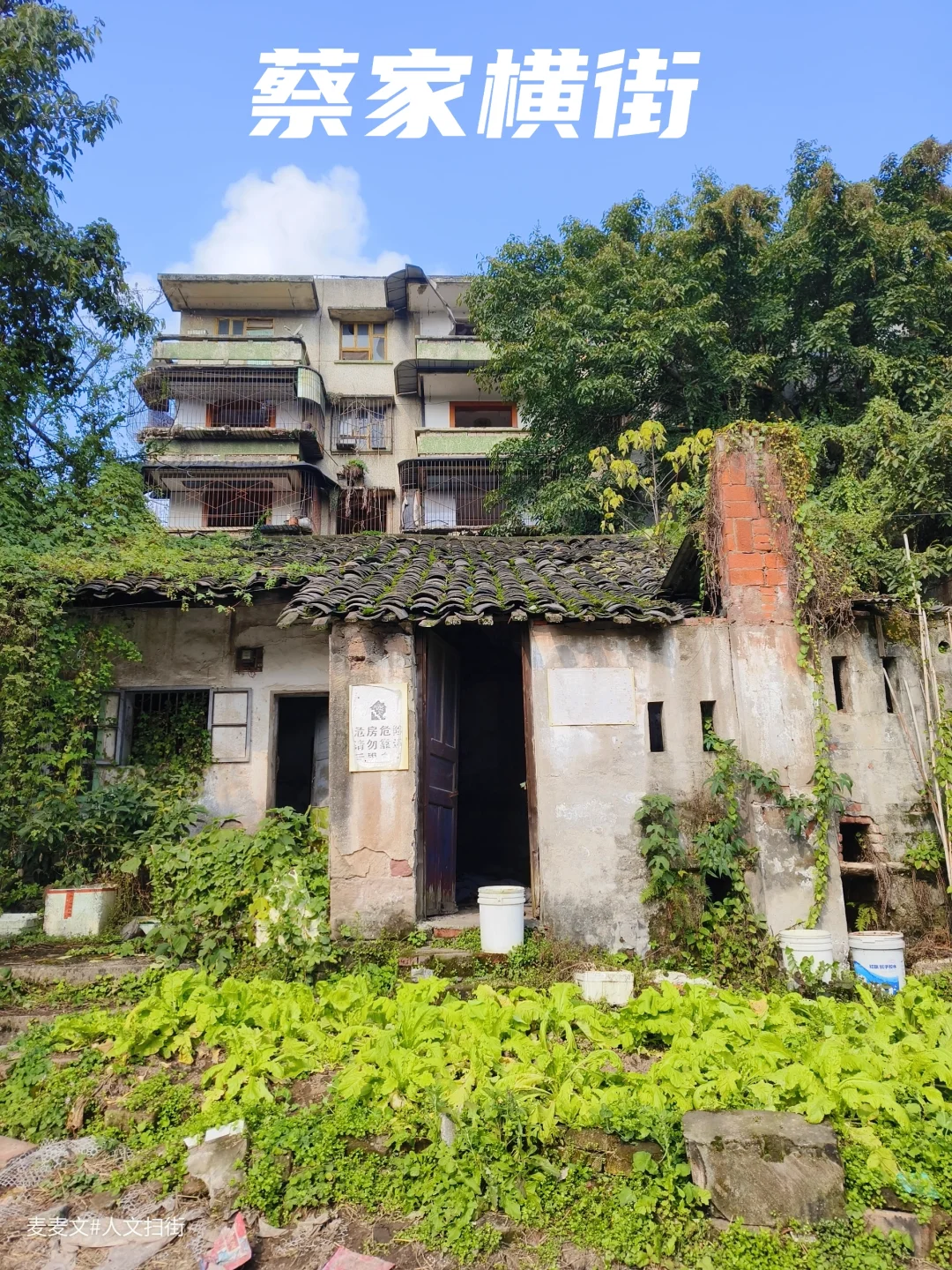 【两江】人去楼空的蔡家横街再无往日烟火