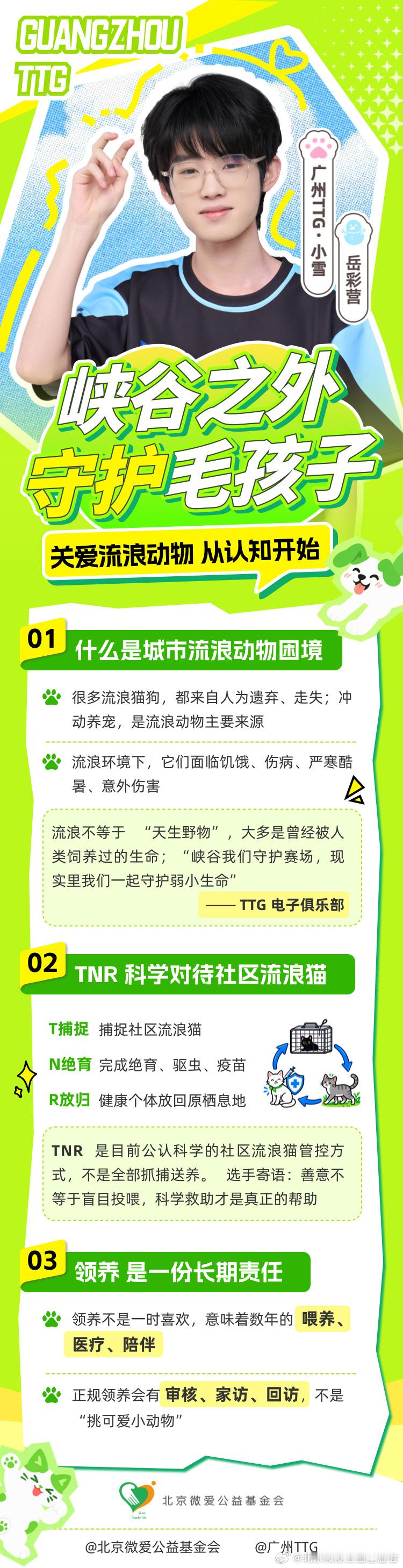 #人人公益节##峡谷之外守护毛孩子##看见公益##TTG粤精彩[超话]##流浪动物救助[超话]# 

"峡谷我们守护赛场，现实里我们一起守护弱小生命”❤️

 联合行动，小雪走出峡谷，化身"毛孩子守护官"，带来一份超实用攻略：关爱流浪动物，从认知开始

🐶 建立认知｜了解城市流 ​