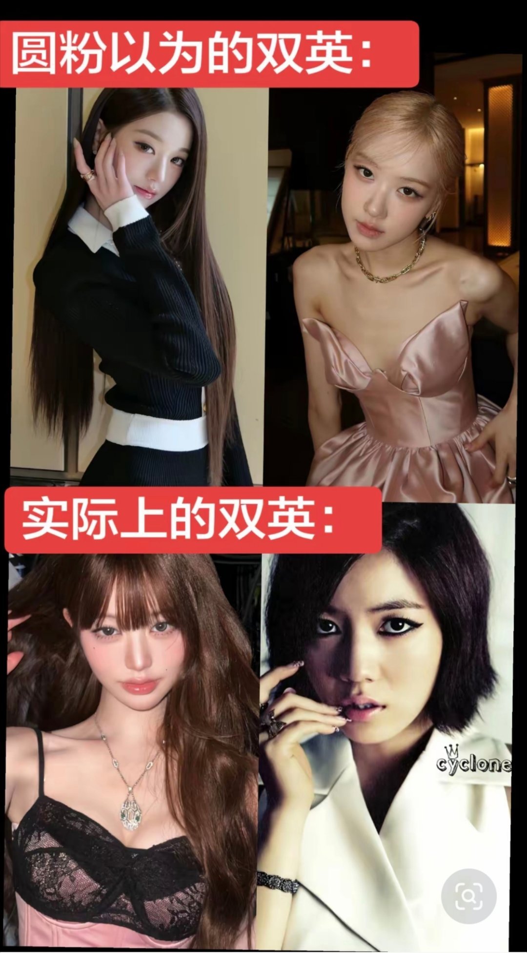 张元英粉丝以为的双英🆚实际上的双英 ​