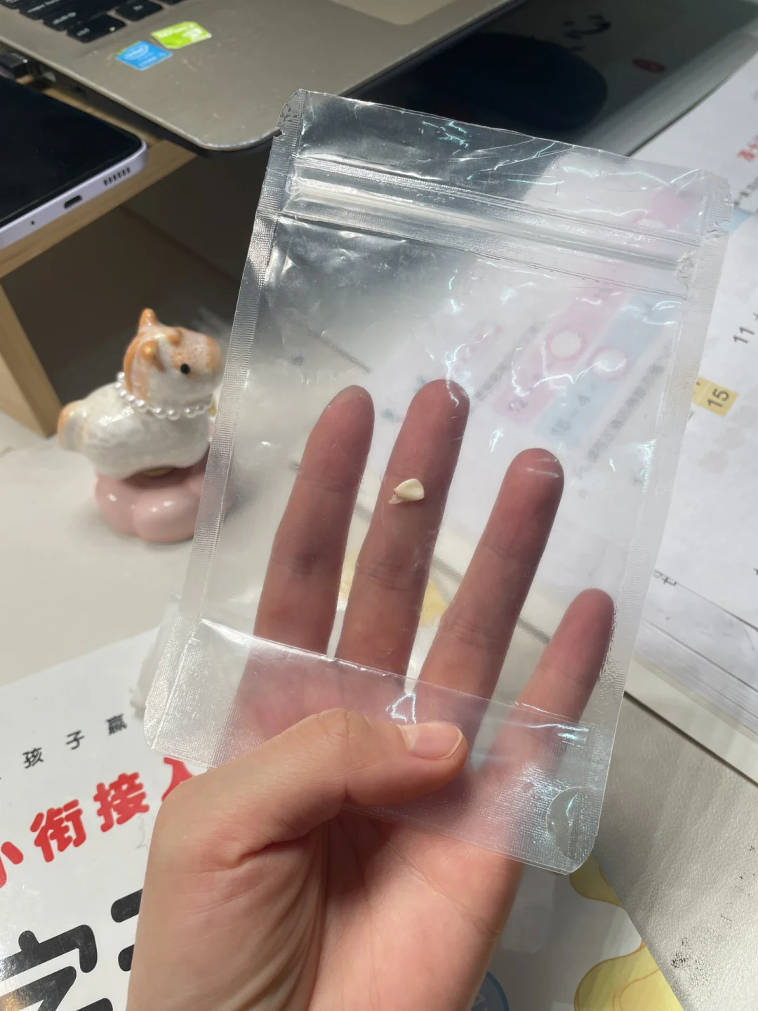 你们六岁的孩子还相信牙仙子的存在？