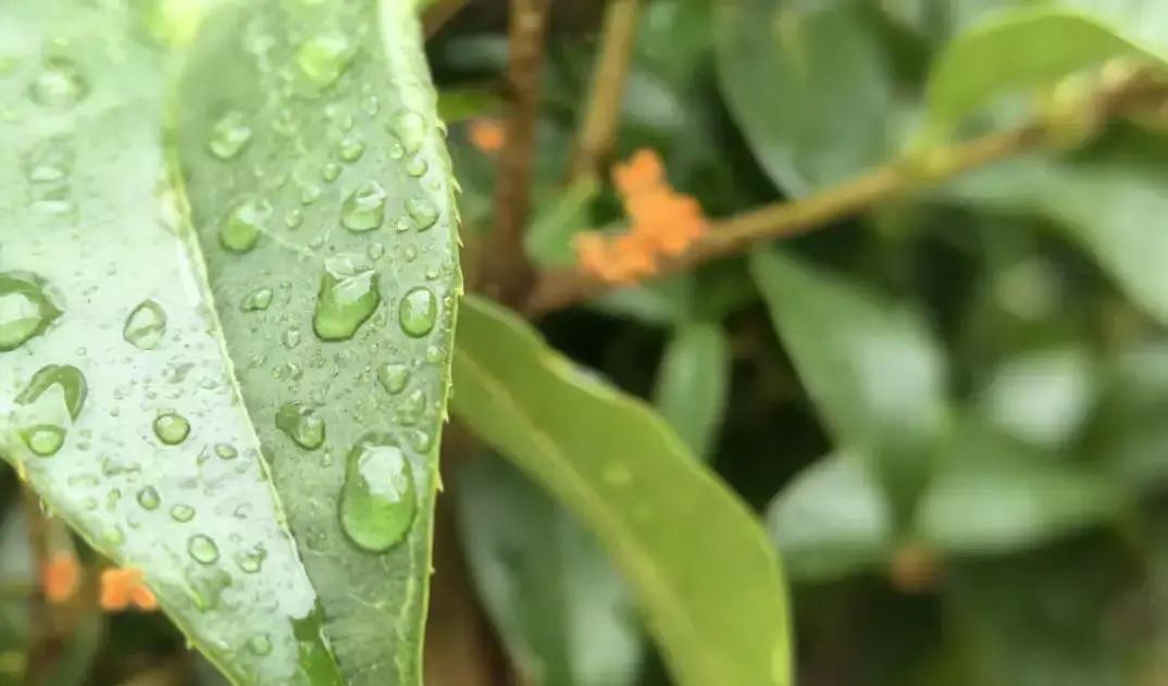 其实我们每个人都有过类似的经历，曾经很亲近的朋友，不知不觉就再也没有联...