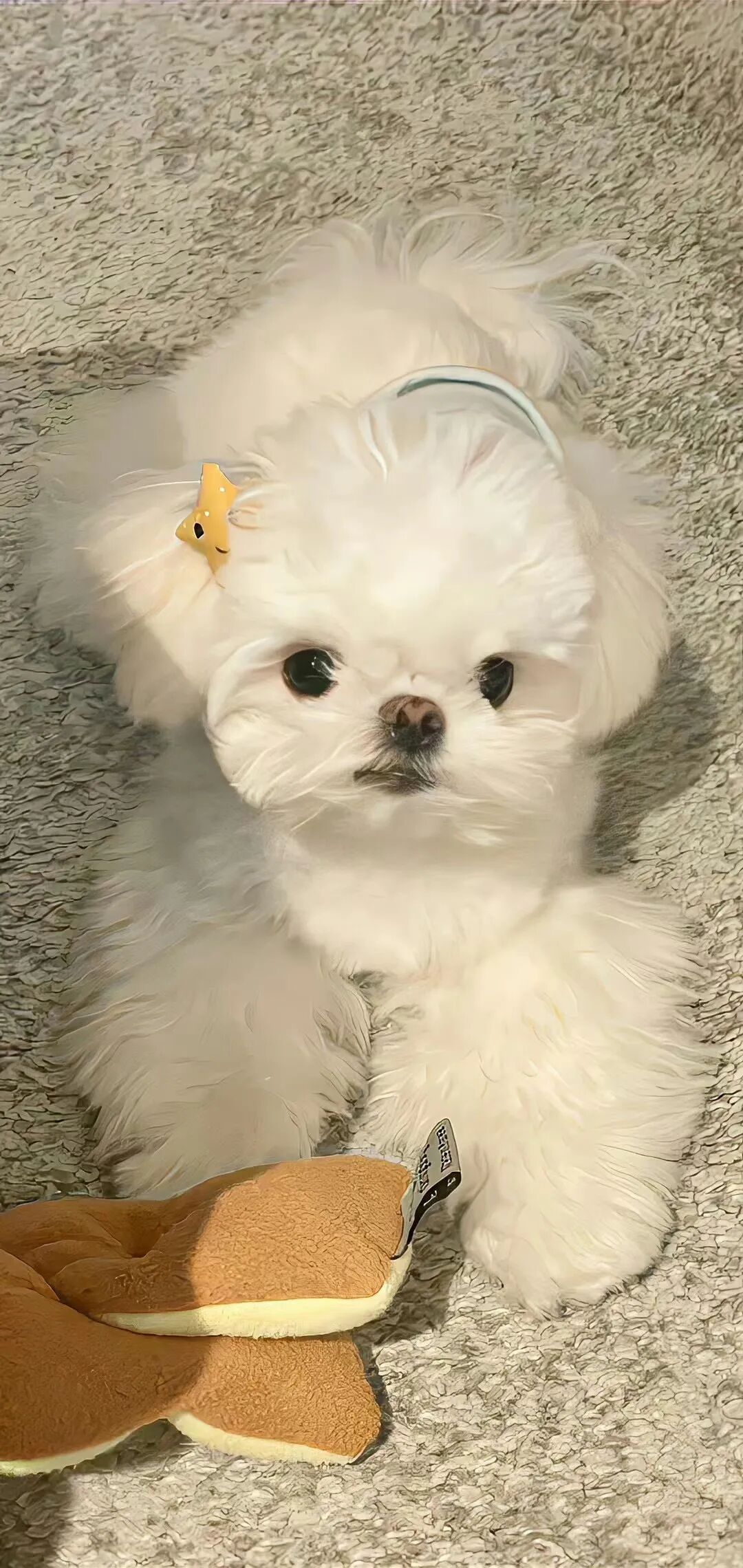 耐看的手机壁纸