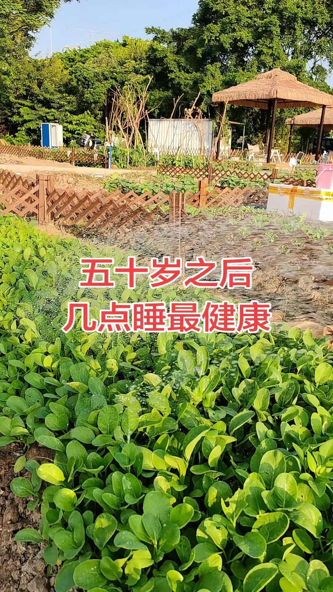 第二届