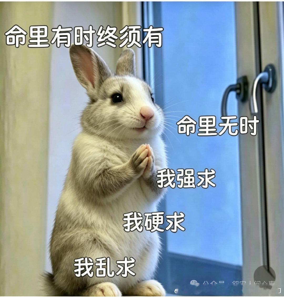 今日小爱一直放的是王力宏的歌，想到我的初一和那个穿毛领夹克的男生MZ ​