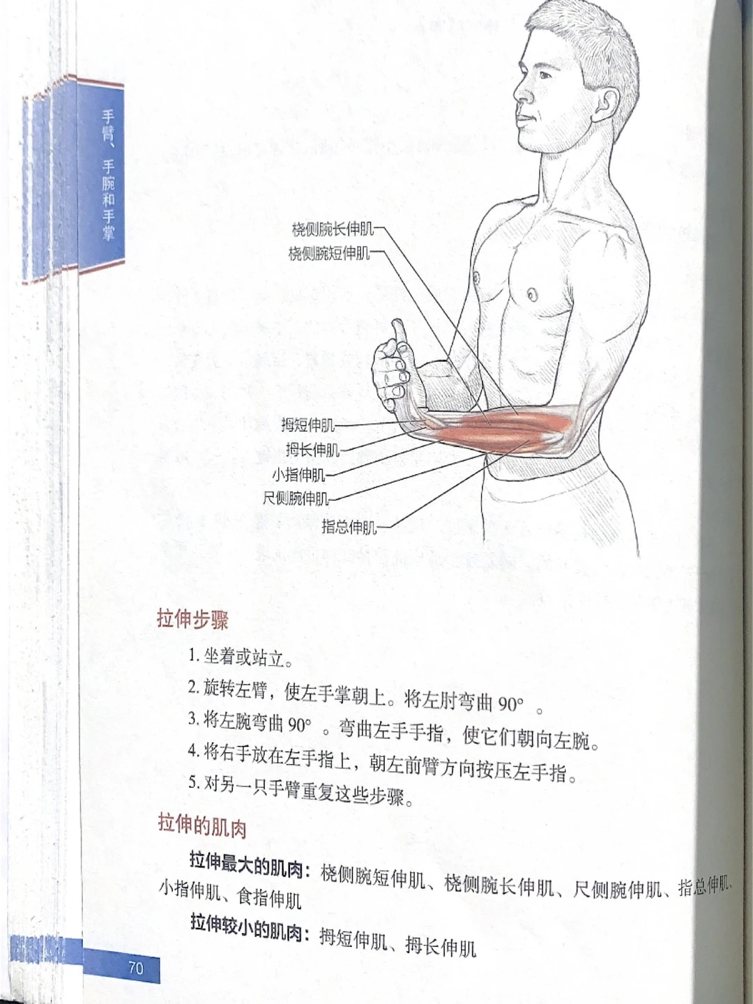 筋长一寸、延寿十年，手臂肌肉拉伸