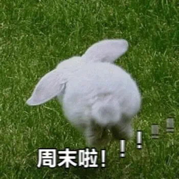 精神状态表情包