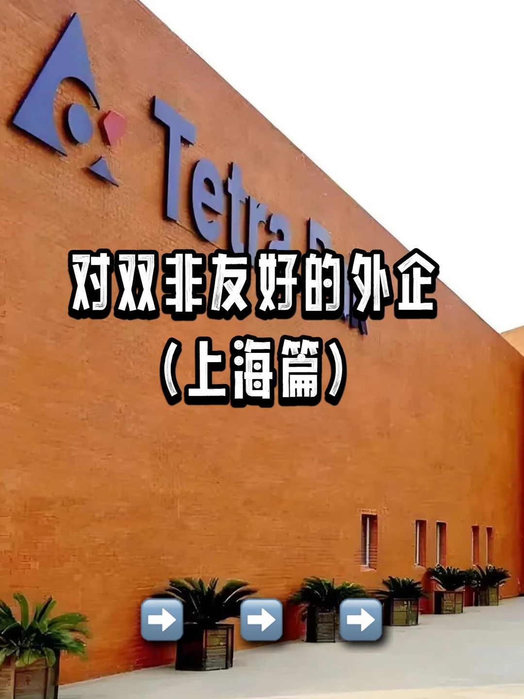 对双非友好的外企｜上海篇