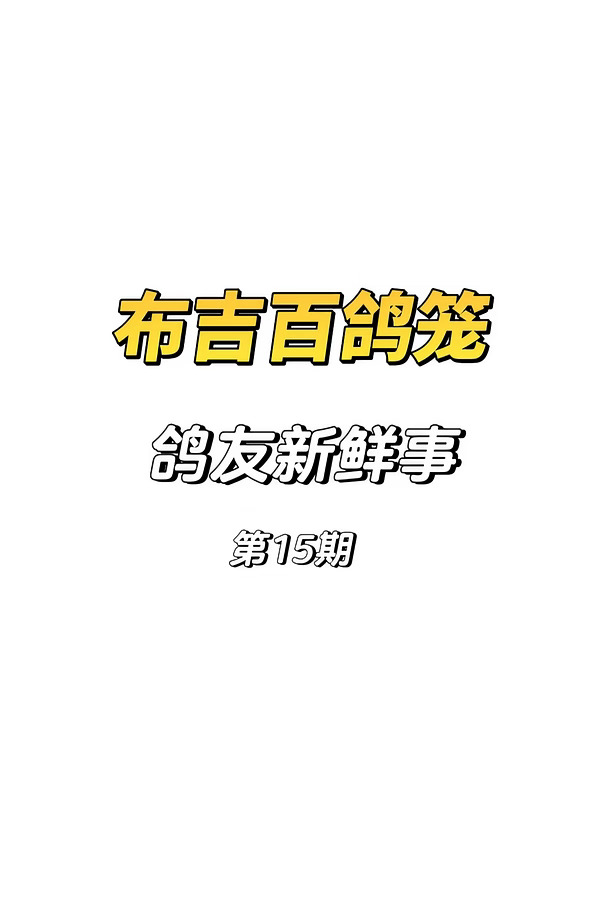 鸽友新鲜事第15期