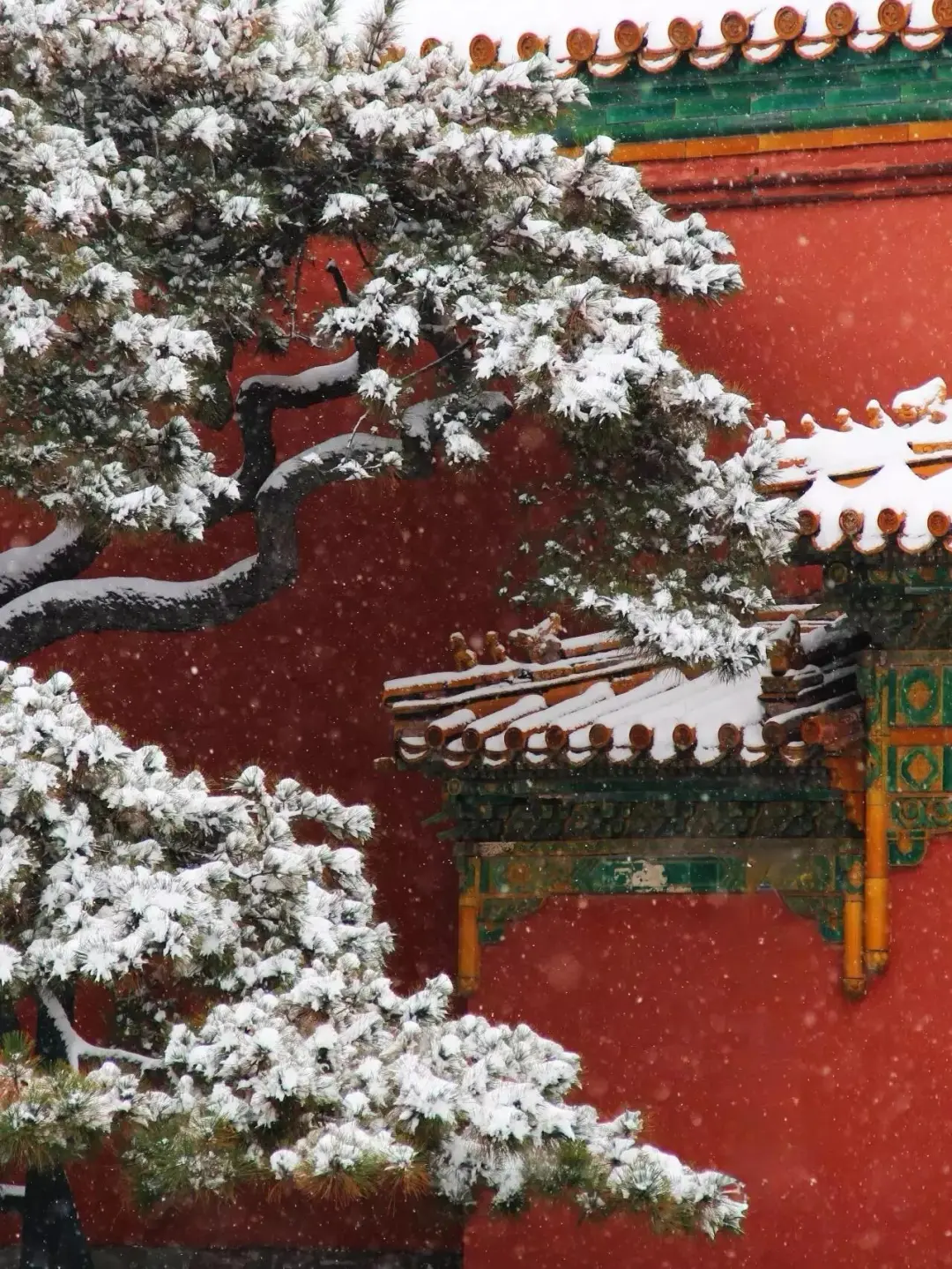 北京下雪了，几条赏雪citywalk路线果断收藏