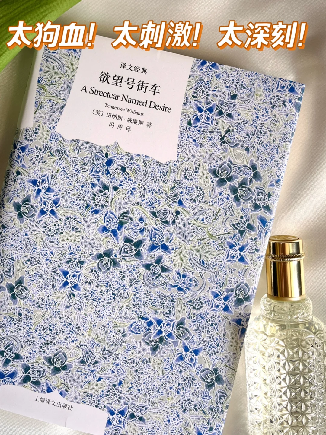 豆瓣9.0，最狗血的故事，最深刻的启示