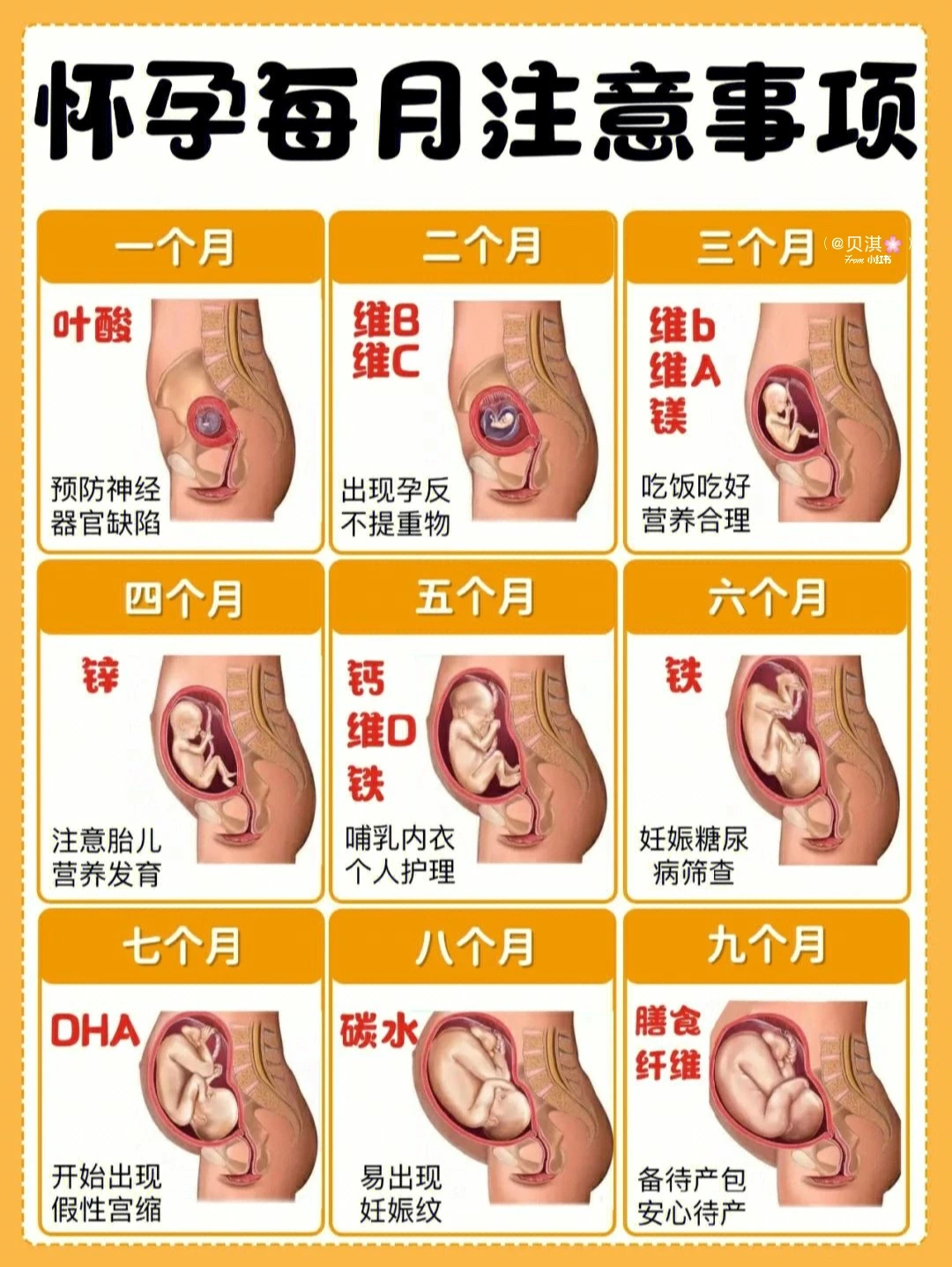 孕妈要牢记㊙️每月营养补充+注意事项