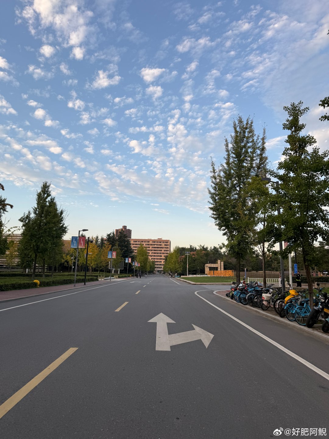 游完泳骑车回来的路上总是一天中心情最轻松愉悦的时候，好像所有焦虑都在水里泡发了。在18度的天气去游泳很奇妙，刚下水的时候冻得心狂跳，游着游着好像就被温水托起了。2026的夏天就这样戛然而止，已经是冷到不想喝dirty的天气，无法和偶的南方友们再共感高温，只能同时发出好热/好冷的感叹。 ​