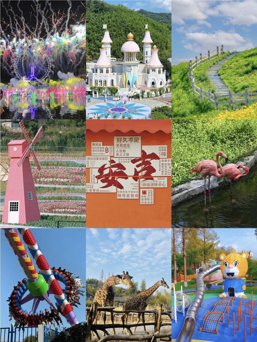 去了18次安吉‼️总结的春季亲子游攻略