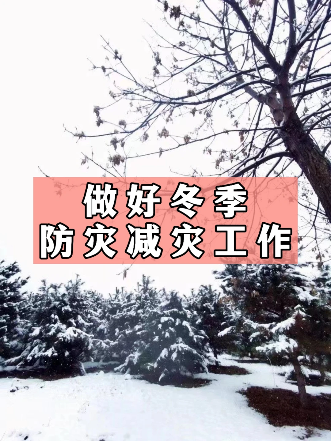 体制内：做好冬季防灾减灾工作讲话材料