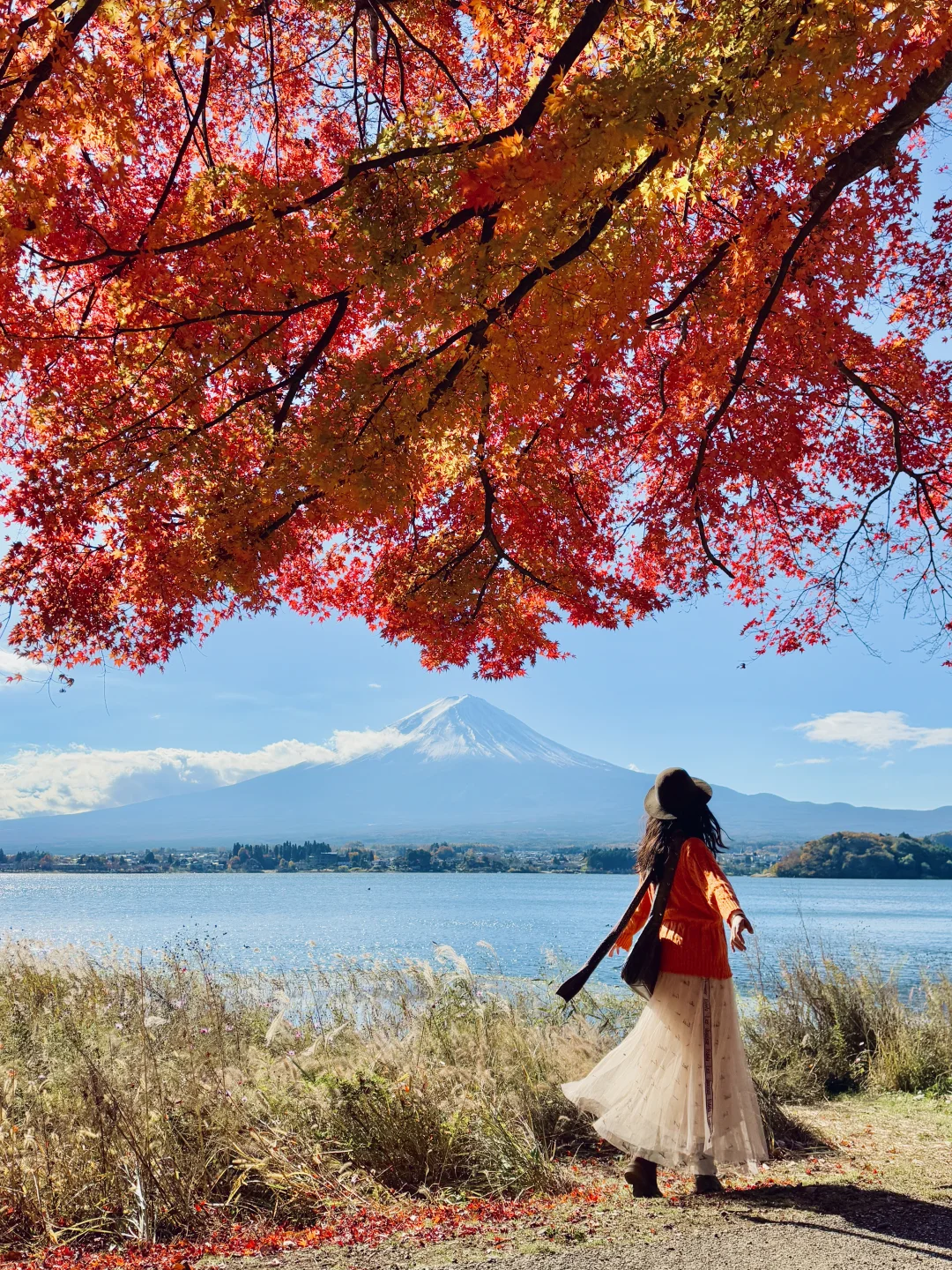 已经开始期待富士山下的秋天了🍁live图